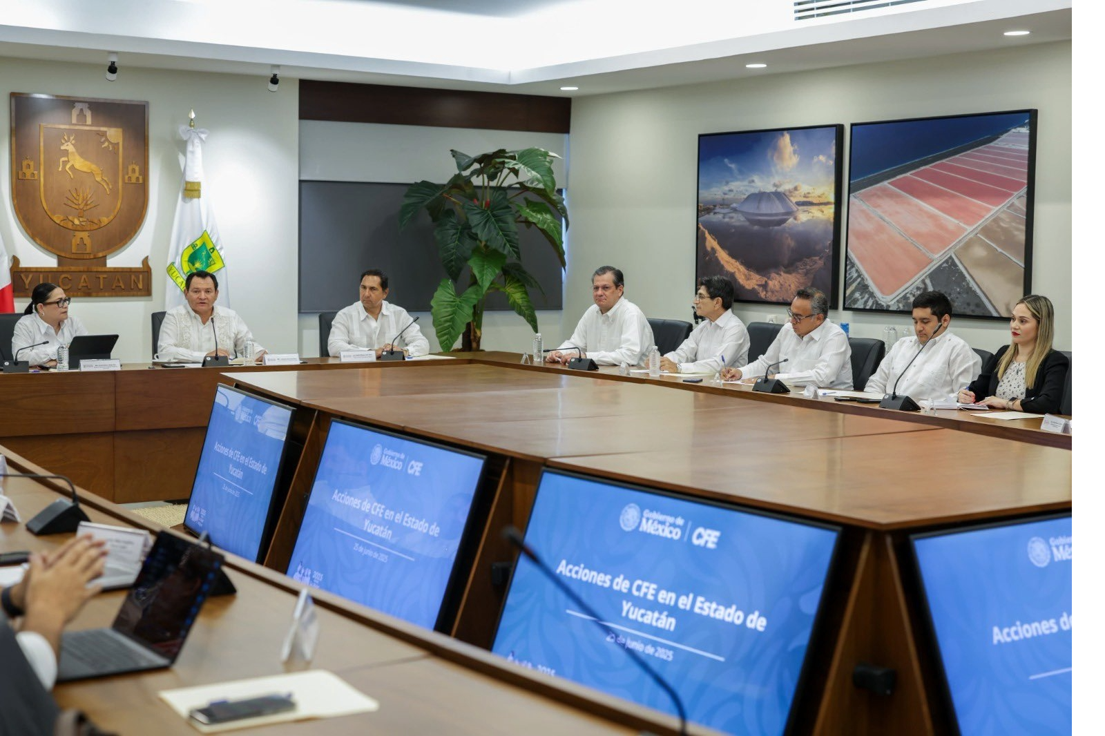 La CFE pone en funcionamiento dos plantas en Yucatán