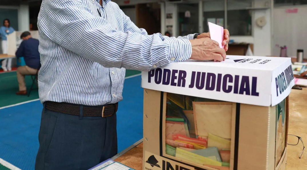 ONG impugnan Elección Judicial federal