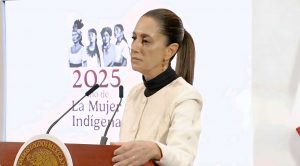 Van 355 mexicanos detenidos desde enero