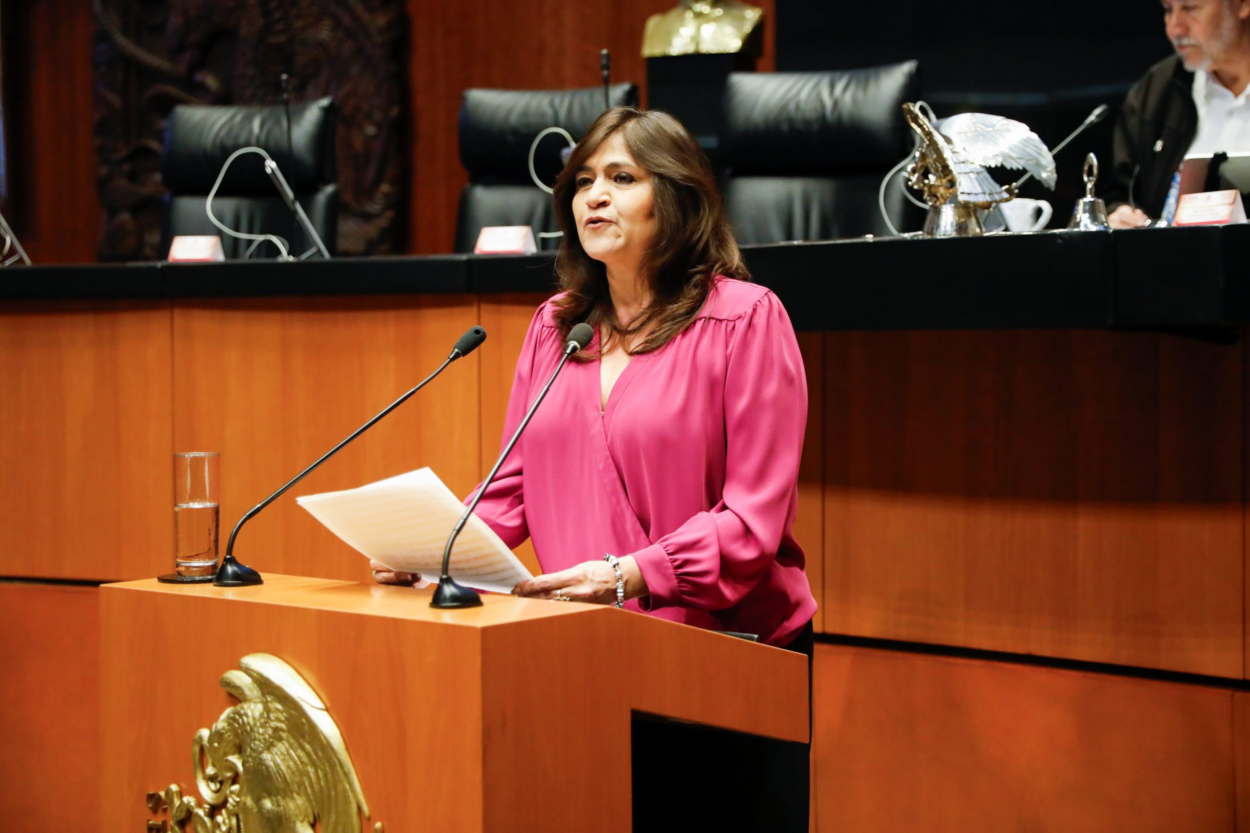Nora Ruvalcaba apoya eliminar plurinominales: no aportar al principio de representación