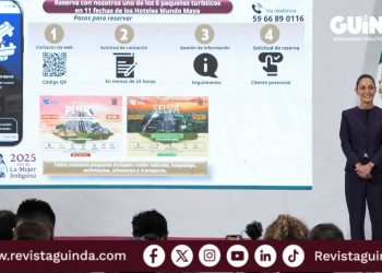 Es rentable el Tren Maya