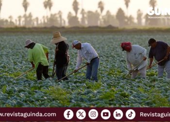 migrantes mexicanos en Estados Unidos