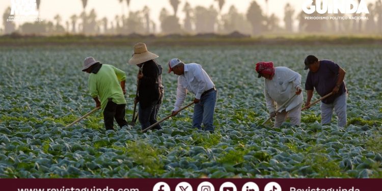 migrantes mexicanos en Estados Unidos