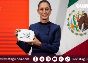 Diseño del carro eléctrico Olinia