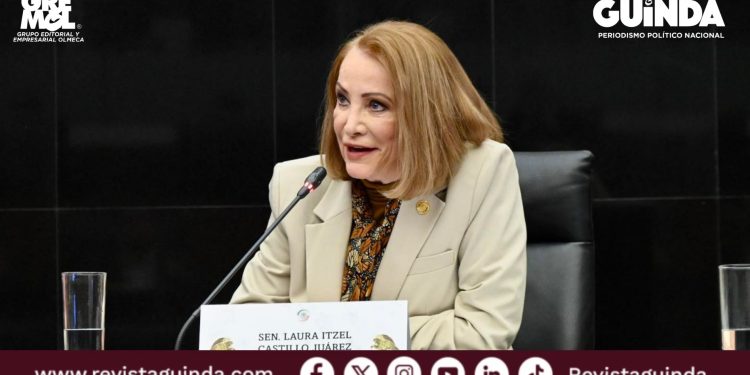 Propuesta de Laura Itzel Castillo para garantizar la justicia energética en México