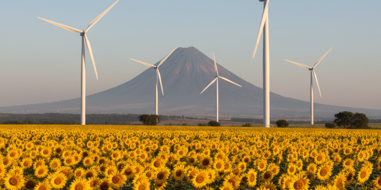 Auge en Tamaulipas por energías renovables
