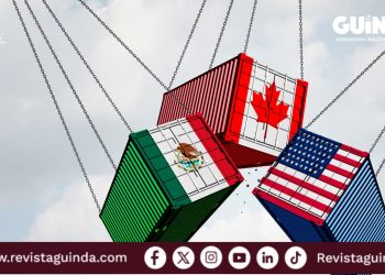 participación del sector privado en el T-MEC