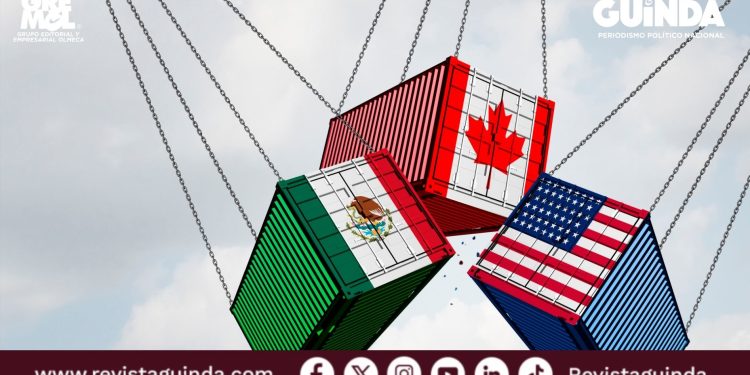 participación del sector privado en el T-MEC