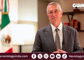 Salinas Pliego como candidato presidencial del PAN