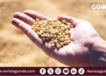 robo de datos genéticos de semillas de China