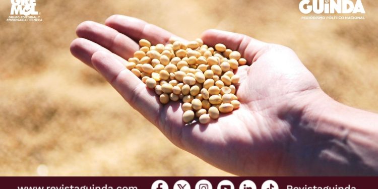 robo de datos genéticos de semillas de China