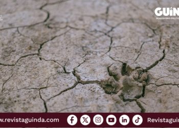 Sequía en el norte de México