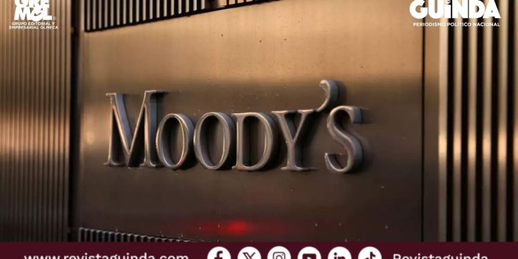 rentabilidad de aseguradoras por el IVA en 2026