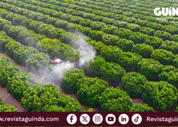 Rusia suspende exportaciones de fertilizante