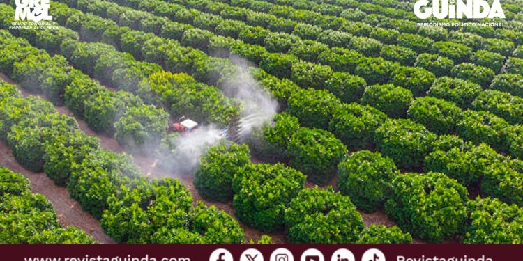 Rusia suspende exportaciones de fertilizante