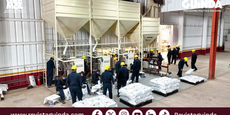 autosuficiencia alimentaria de frijol