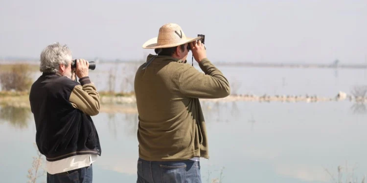 Parque Ecológico Lago de Texcoco: Biodiversidad y Recreación