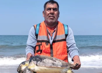 Derrame de hidrocarburos Veracruz Tabasco: Suspensión Judicial