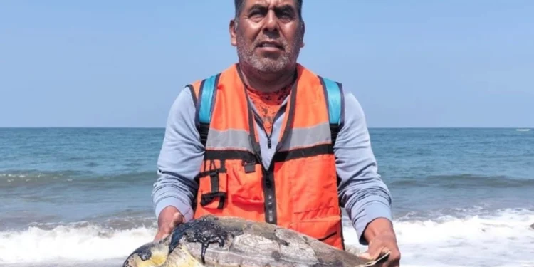 Derrame de hidrocarburos Veracruz Tabasco: Suspensión Judicial