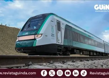 pérdidas del Tren Maya