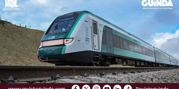 pérdidas del Tren Maya