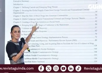 acciones contra el crimen organizado en México