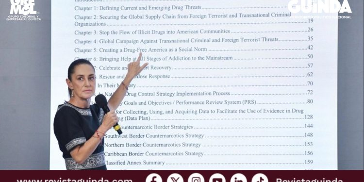acciones contra el crimen organizado en México