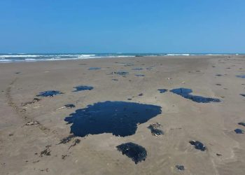 Greenpeace denuncia a Pemex por derrame en el Golfo