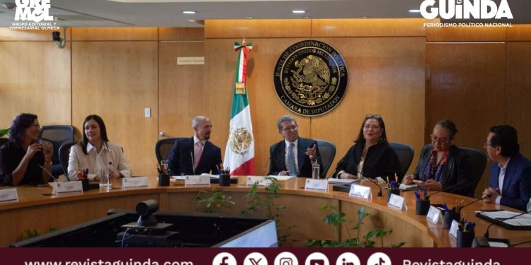 elección judicial al 2028