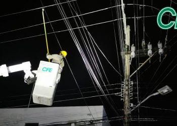 CFE niega crisis eléctrica: apagones por clima y fauna