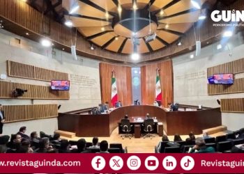 irregularidades de México tiene Vida