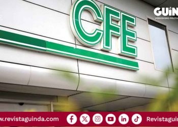 ganancias de la CFE en el segundo trimestre de 2026