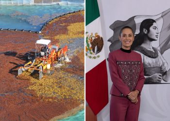 Sargazo en Quintana Roo 2026: inversión histórica y biogás