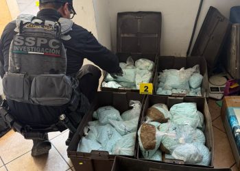 México y DEA aseguran 120 kg de fentanilo