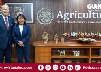Exportación de aguacate a Estados Unidos
