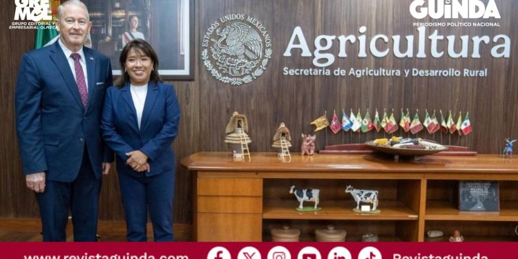 Exportación de aguacate a Estados Unidos