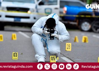 Homicidios dolosos en México