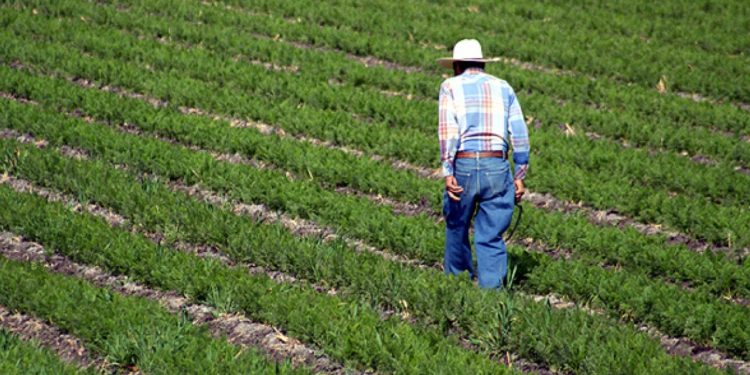 EL AGRO Y LA LEJANA AUTOSUFICIENCIA ALIMENTARIA DE MÉXICO
