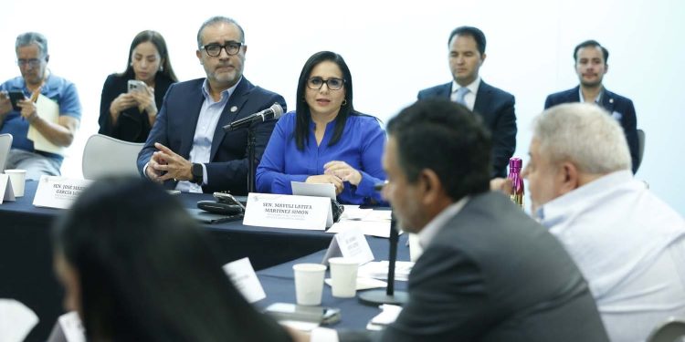 Mayuli Martínez votará en contra del paquete económico 2027
