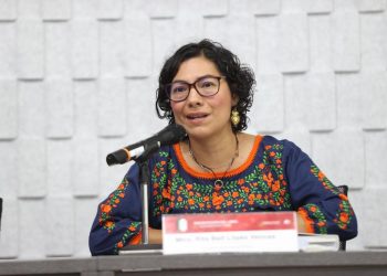 proyectos de Guadalupe Taddei