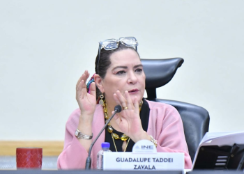 irregularidades de Guadalupe Taddei